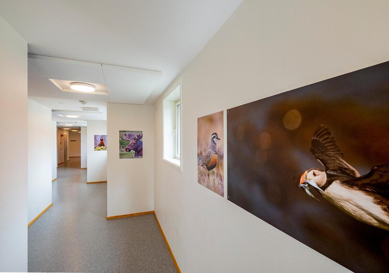 Lofoten Sommerhotell Og Vandrerhjem カベルヴォーグ エクステリア 写真