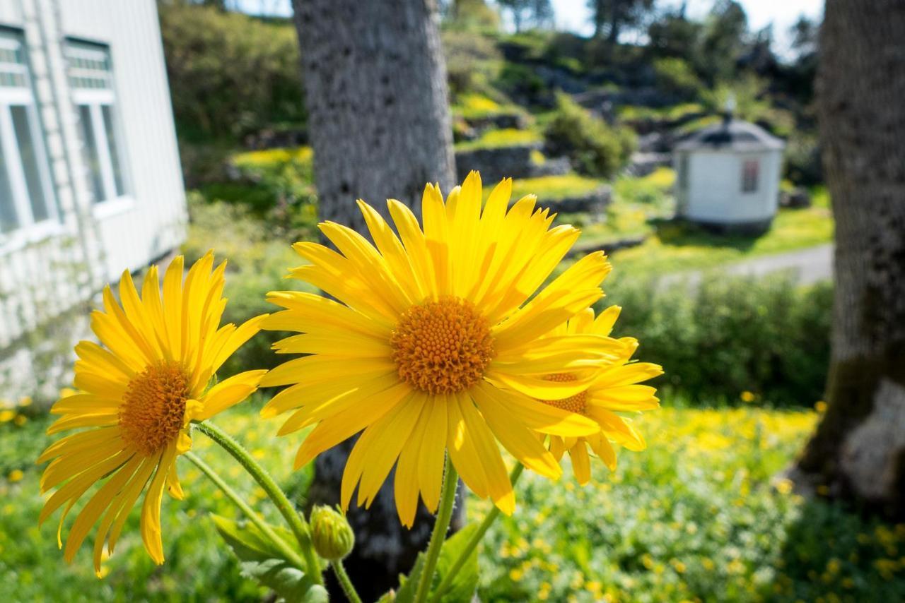 Lofoten Sommerhotell Og Vandrerhjem カベルヴォーグ エクステリア 写真